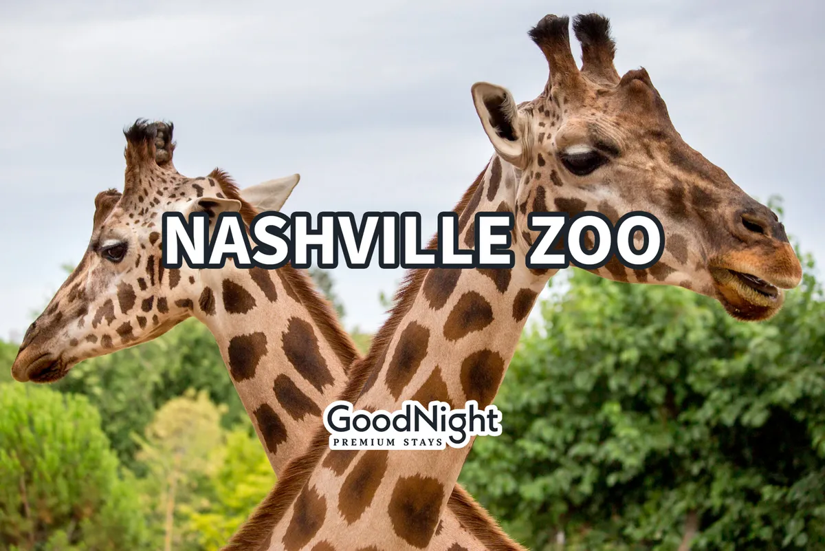 This image offers a close-up of two giraffes against a lush green background at the Nashville Zoo, capturing the excitement of encountering wildlife on a family outing. The cheerful scene highlights animal interactions and the zoo’s engaging environment for children.